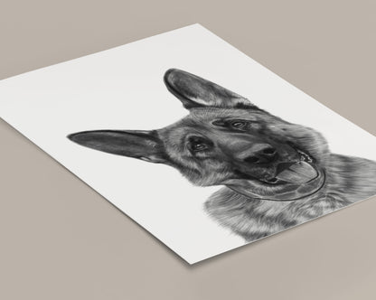 Charcoal Pet Portrait