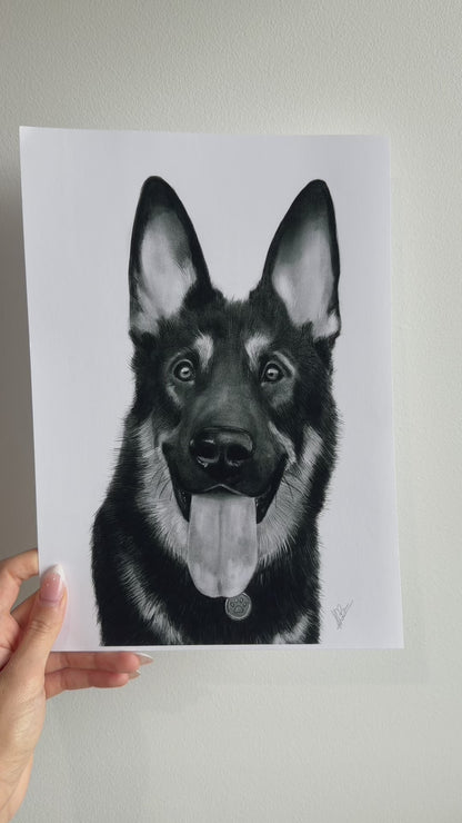 Charcoal Pet Portrait